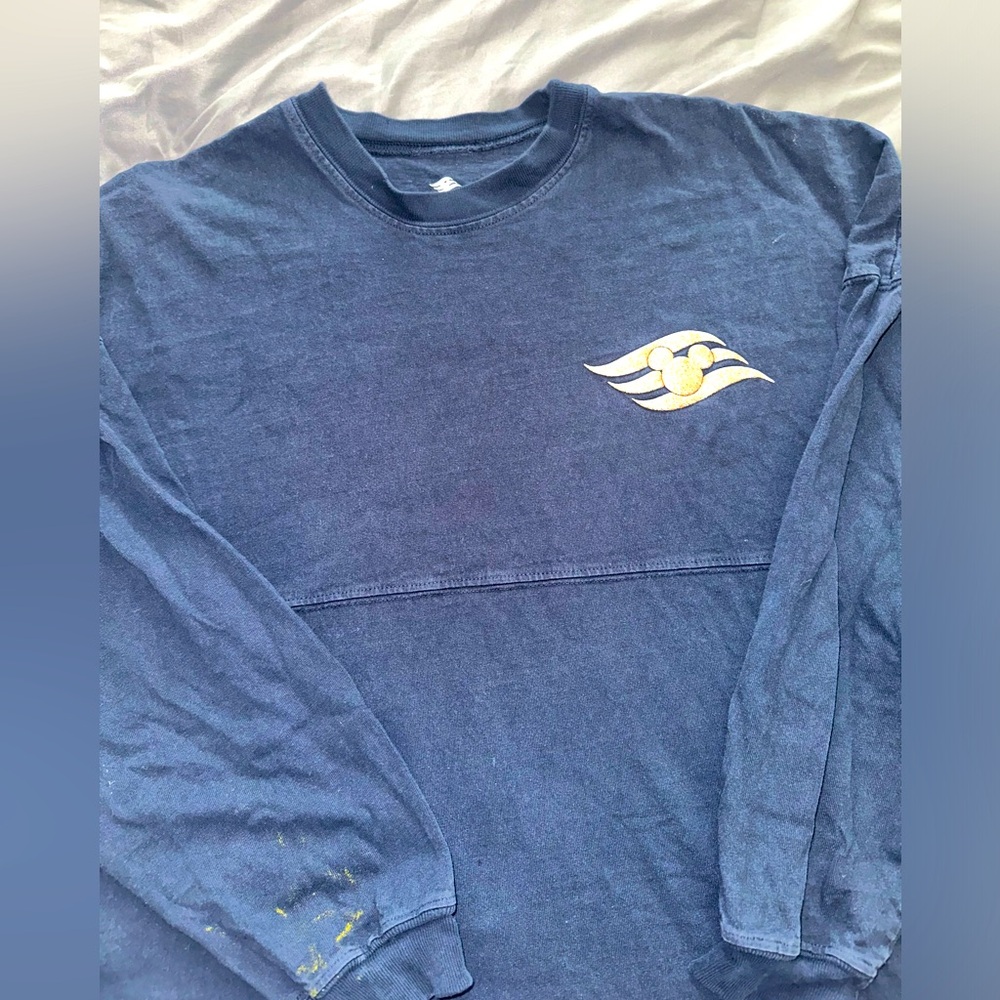 Disney Spirit Jersey